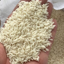 برنج ایرانی هاشمی اصل گیلان سورتینگ شده تمام دانه ونیم دانه