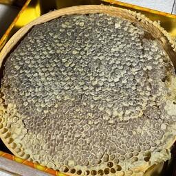 عسل طبیعی با موم چهل گیاه (   یک کیلو گرم ) ارسال رایگان 