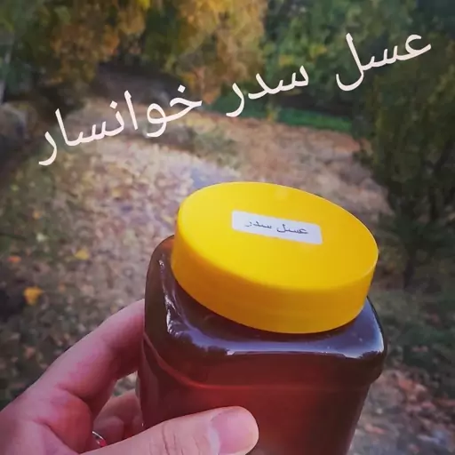 عسل کنار(سدر) خوانسار- 1 کیلویی