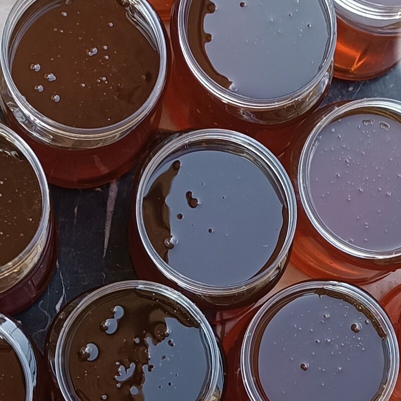 خرید عسل طبیعی  ساکارززیرپنج  برداشت بهاره ارسالش رایگانه