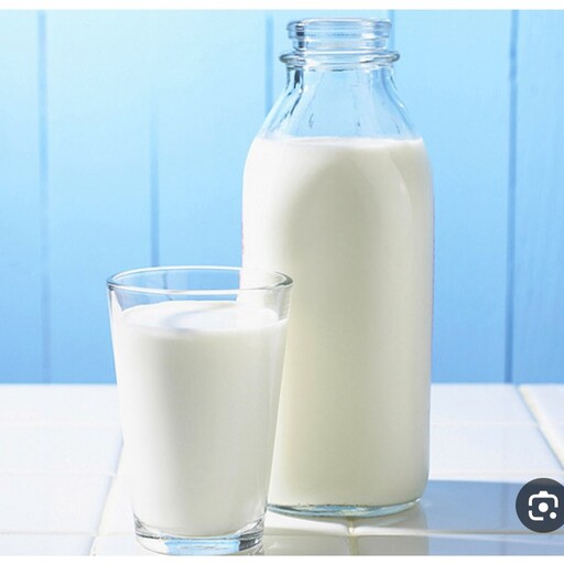 شیر کم چرب گاوی مستقیم از گاوداری، روزانه 300 کیلوگرم،