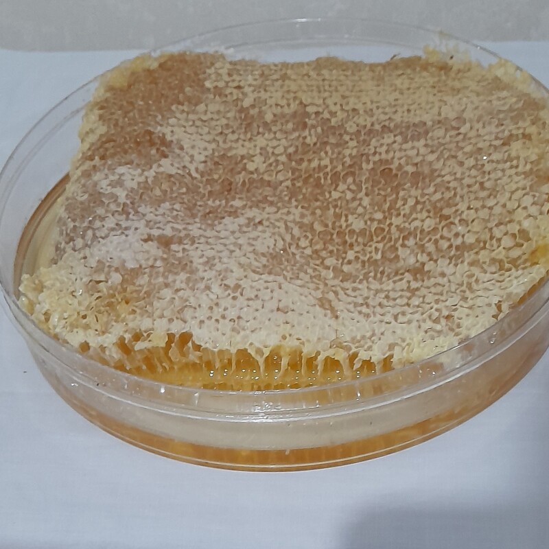 عسل طبیعی با موم کوهستان  زنبورک(یک کیلو هشتصد گرم)ارسال کاملا رایگان و فوری