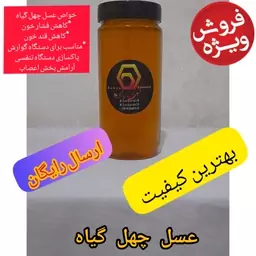 عسل طبیعی چهل گیاه زنبورک(یک کیلویی) ارسال کاملا رایگان و سریع