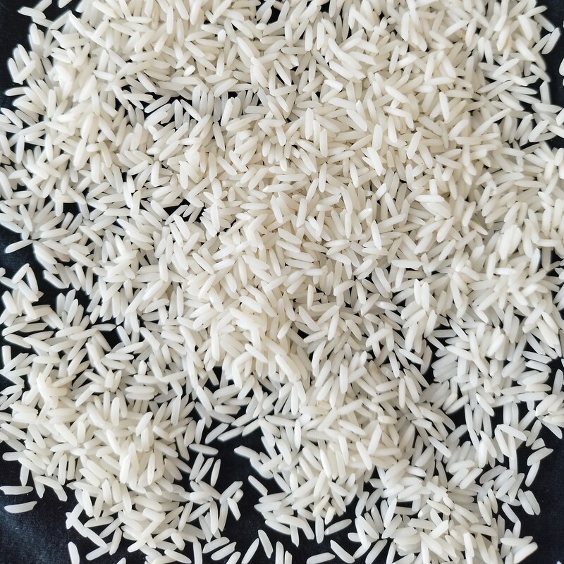 برنج طارم فریدونکنار (شیرودی)مستقیم از تولید کننده صددرصد ایرانی خالص 20 کیلویی سورت شده
