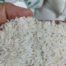 برنج طارم عطری فریدونکنار درجه یک مستقیم از کشاورز 10 کیلویی 