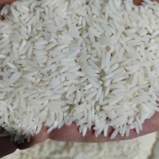 برنج طارم محلی درجه یک فریدونکنار مستقیم از کشاورز 10کیلویی