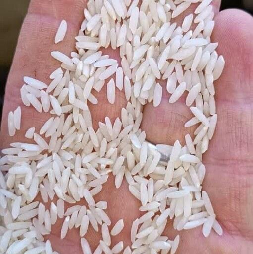 برنج کشت دوم (50کیلوئی) امراللهی و بهنام بوجار و سورت شده صداقت