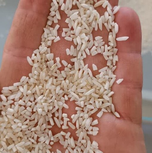 برنج سرلاشه طارم هاشمی (20 کیلوئی) سورت شده (پاک شده)  صداقت