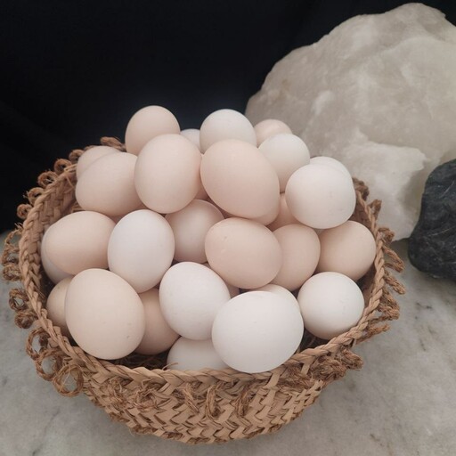 تخم مرغ محلی ارگانیک (گلپایگانی) بسته شش عددی