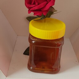 عسل چهل گیاه (نیم کیلویی) خرید مستقیم از زنبوردار 