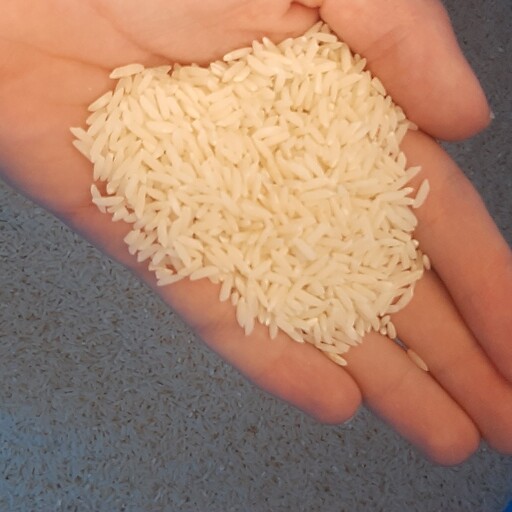 برنج طارم محلی درجه یک محصول شالیزار های شمال( 5 کیلویی)