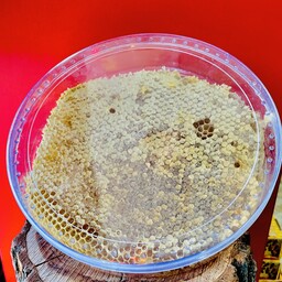 عسل طبیعی دامنه سبلان(دو کیلوگرم)(ارسال سریع و رایگان)(خرید بی واسطه از زنبوردار)