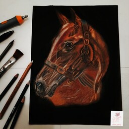 طراحی اسب با تکنیک مداد رنگی وذغال این کار قاب نداره میتونید قاب رو جدا گانه سفارش بدید