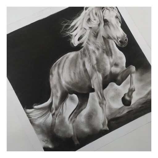 نقاشی سیاه قلم اسب تکنیک کنته و زغال 