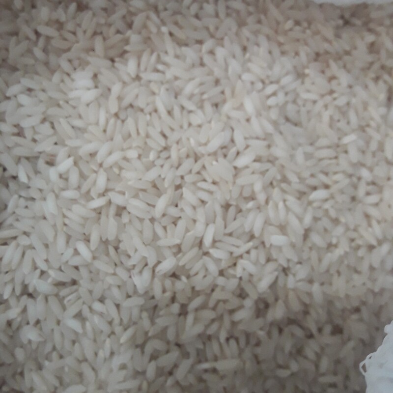 برنج محلی چمپا 5کیلویی 