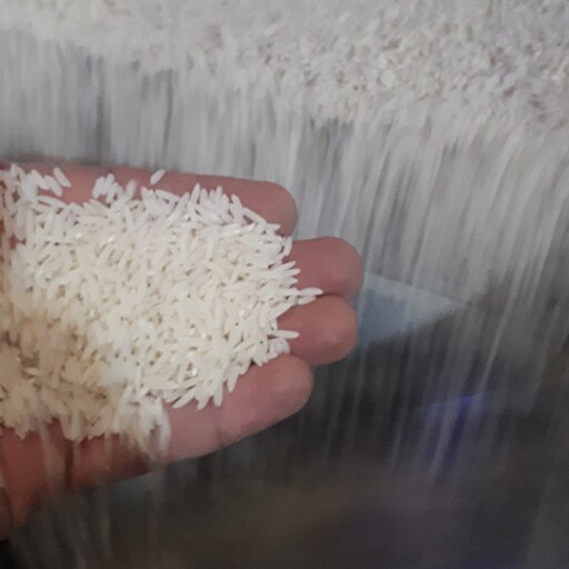 برنج هاشمی کشت دوم در بسته بندی 10 کیلویی (پس کرایه)