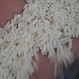 برنج هاشمی درجه یک فریدونکنار 10 کیلویی(پس کرایه)