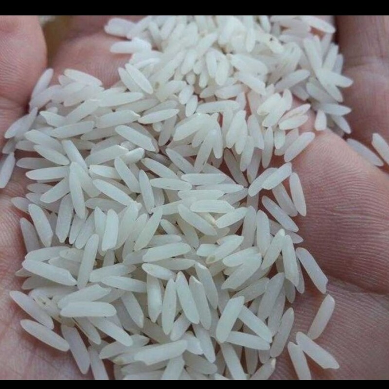 برنج ندا ایرونی بسته 10 کیلویی(پس کرایه)