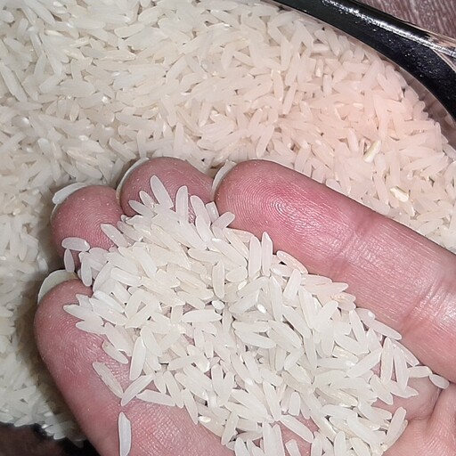 برنج طارم هاشمی ارگانیک خوش پخت