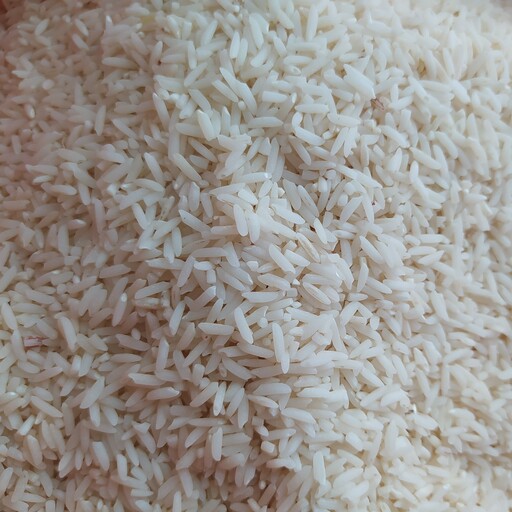 برنج دم لول (الک نشده) هاشمی معطر گیلان ، 20 کیلویی 