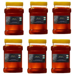 عسل طبیعی جنگلی 6 کیلویی(ارسال رایگان)(مستقیم از زنبوردار)(با برگه آزمایشگاه مواد غذایی)