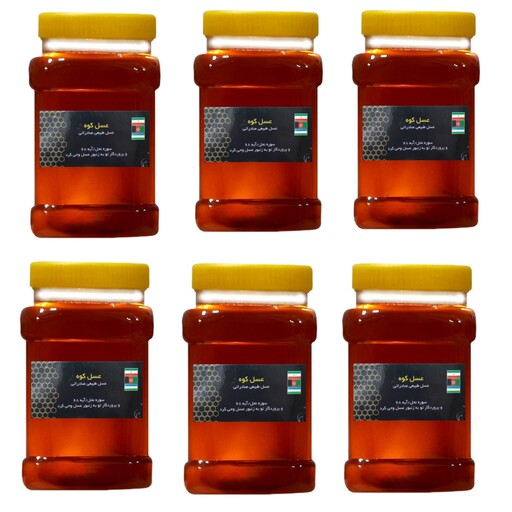 عسل طبیعی جنگلی 6 کیلویی(ارسال رایگان)(مستقیم از زنبوردار)(با برگه آزمایشگاه مواد غذایی)