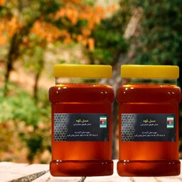 عسل طبیعی جنگلی دو کیلویی(ارسال رایگان)(مستقیم از زنبوردار)(با برگه آزمایشگاه)