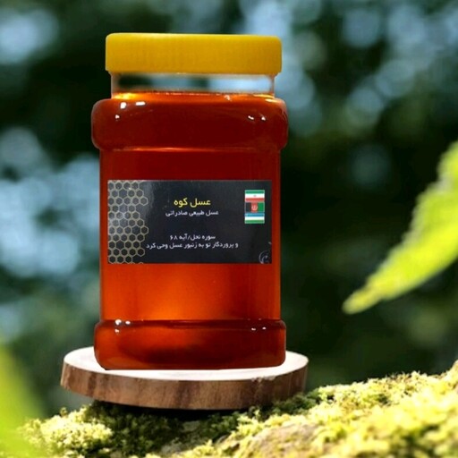 عسل طبیعی جنگلی 15 کیلویی(ارسال رایگان)(مستقیم از زنبوردار)(با برگه آزمایشگاه مواد غذایی)