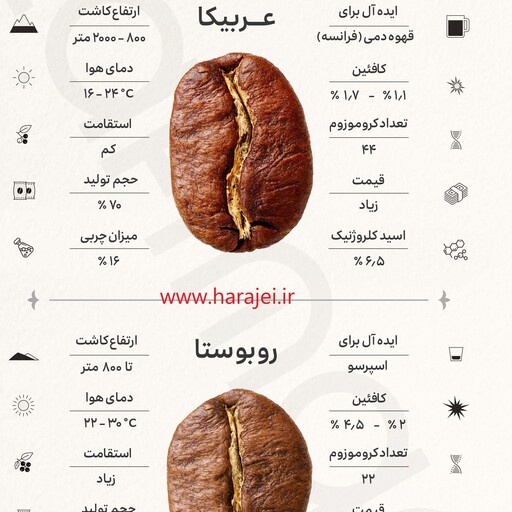 قهوه 70به 30 عربیکا70،روبوستا30