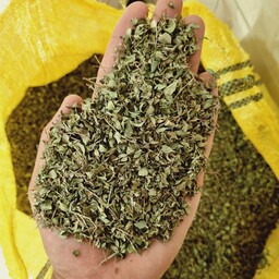 آویشن،کاکوتی(کهلیح اوته) 200گرم محصول کوه های ارومیه