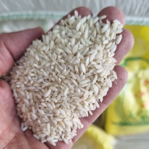 برنج عنبر بو معطر شوشتر ، کشت امساله ، 5  کیلویی