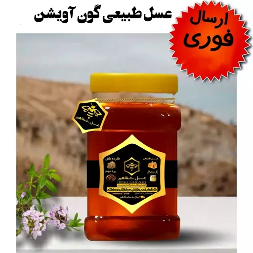 عسل گون آویشن شفاهیر(1 کیلوگرم)(مستقیم از زنبوردار)(ارسال فوری)