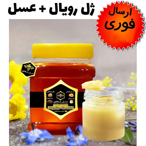 ژل رویال و عسل(مخلوط10گرم ژل رویال با 250 گرم عسل طبیعی جنگلی)(ارسال فوری)(مستقیم از زنبوردار)