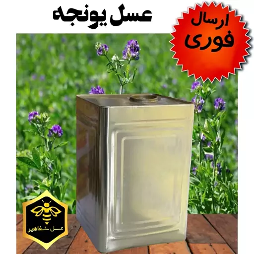 عسل یونجه شفاهیر(26 کیلوگرم)(ارسال فوری)(مستقیم از زنبوردار)