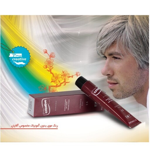 رنگ مو مردانه کریتیو بدون آمونیاک شماره 3 قهوه ای تیره (60 میل) Day Crative Man Ammonia Free Hair color