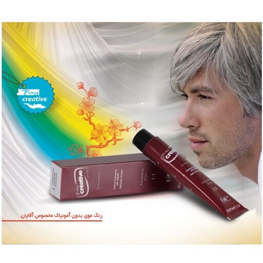 رنگ مو مردانه کریتیو بدون آمونیاک شماره 4 قهوه ای متوسط (60 میل) Day Crative Man Ammonia Free Hair color