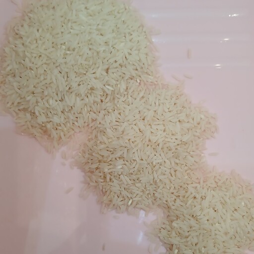 نیم دانه برنج طارم