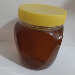 عسل گون گز  وزن 1کیلو گرم
