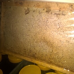 موم عسل رمک  2500 گرم خودتون عسل رو برداشت کنید صددرصد طبیعی از این بهتر 
