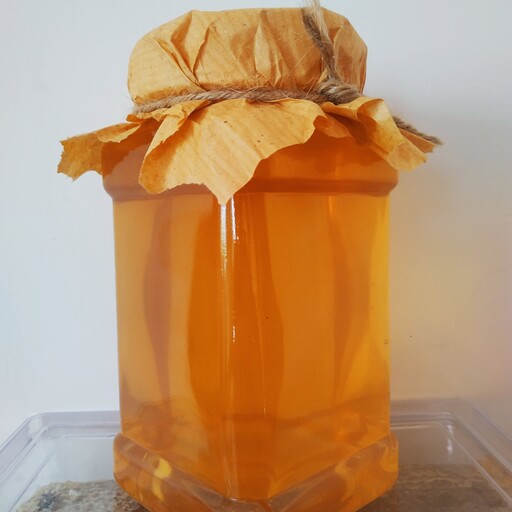 عسل گون  طبیعی 1کیلوگرم   برداشت اول   ساکارز زیر 3 بدون تغذیه   با ضمانت تست   مستقیم از زنبوردار  