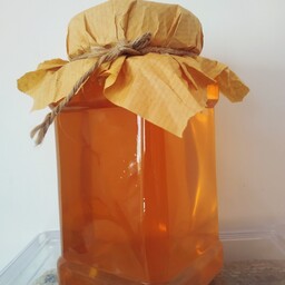 عسل طبیعی اویشن  1 کیلو گرم برداشت اول  خرید مستقیم از زنبور دار  به شرط تست 