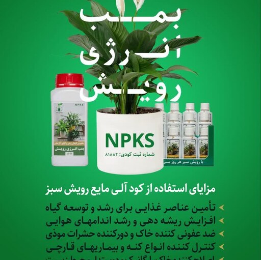 NPKS مخصوص گل های آپارتمانی (بمب انرژی)
