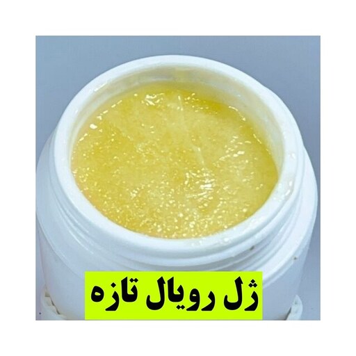 ژل رویال اصل 20 گرمی خرید از زنبودار ( 1 گرم 23 ت)