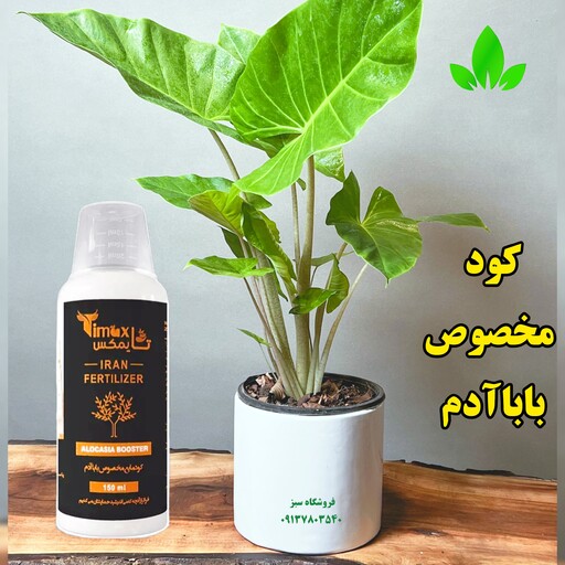 کود مایع مخصوص گل باباآدم برند تایمکس حجم 150میلی لیتر