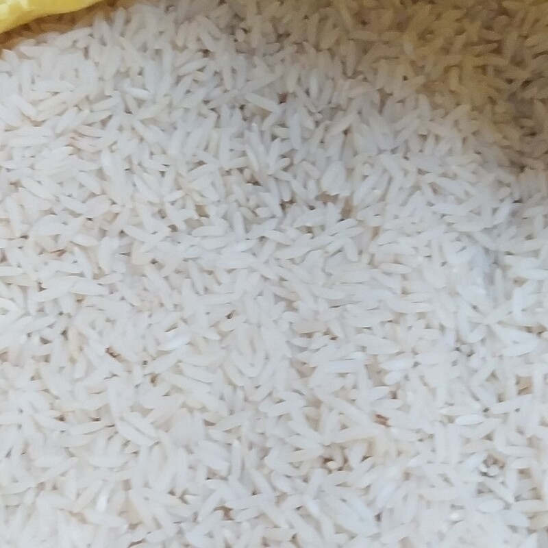 برنج طارم هاشمی اعلا مازندران،امساله،درجه یک
