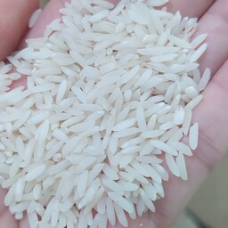 برنج طارم هاشمی درجه یک ،امساله(بسته بندی ده  کیلویی)