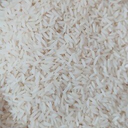 برنج طارم هاشمی اعلا امسال