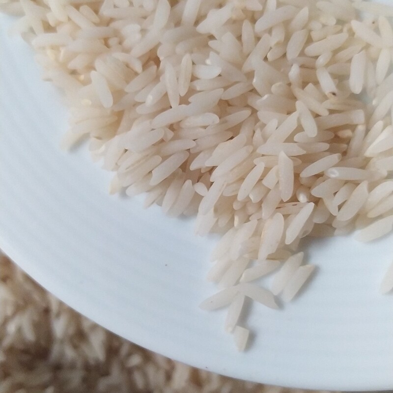 برنج طارم هاشمی درجه یک و خالص مازندران امساله 10کیلویی