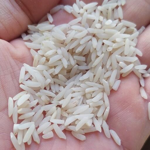 برنج طارم هاشمی اعلا امساله درجه یک بسته ده کیلویی