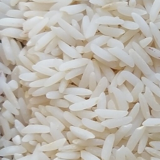 برنج طارم هاشمی اعلا امساله درجه یک بسته ده کیلویی
